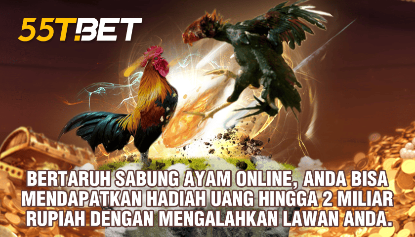 TRIBUN855 LIVE CHAT - Pelatihan Digital Marketing Bagi UMKM